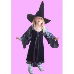 černokněžnice , čarodějka nebo kouzelnice