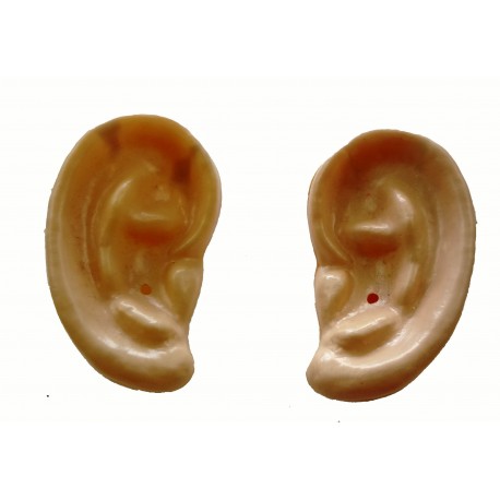 maxi uši