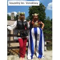 kouzelný les Vonoklasy  Asterix a Obelix