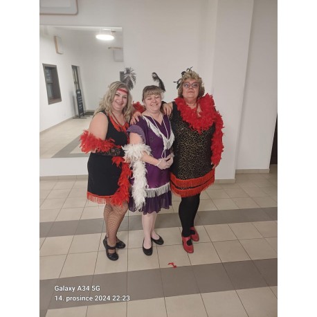 damy první republiky